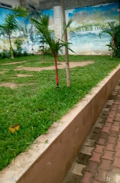 tmp-cam-7965935268087353542