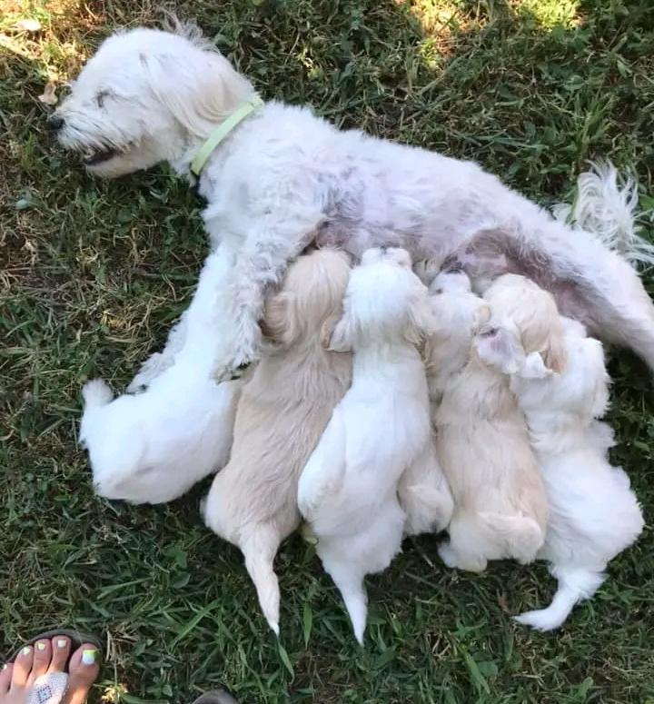 1dd69d20-4db1-412c-9c6f-c84203bf3a77-9