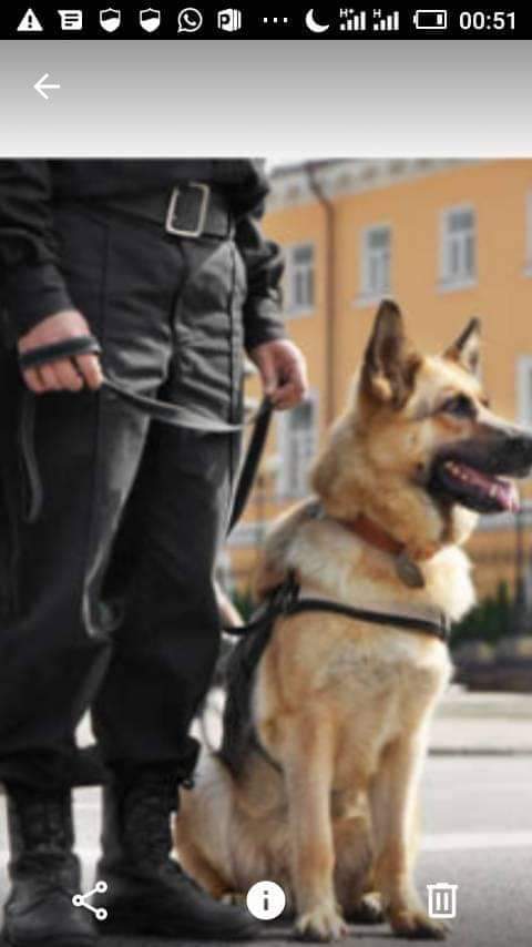 FB_IMG_1660996060465