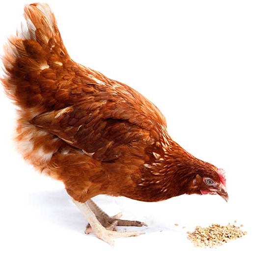 b1209344-dd9d-41f2-8dc9-8369202dcaf5