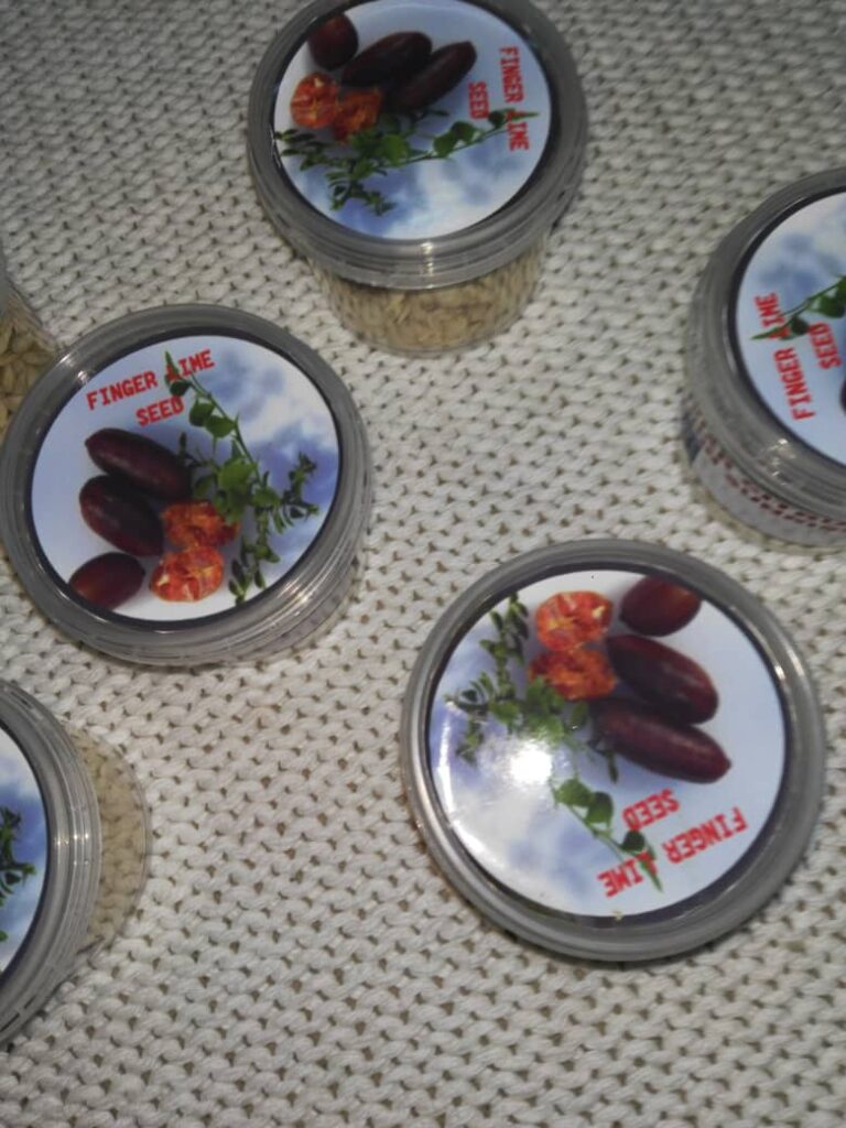 IMG-20220710-WA00061