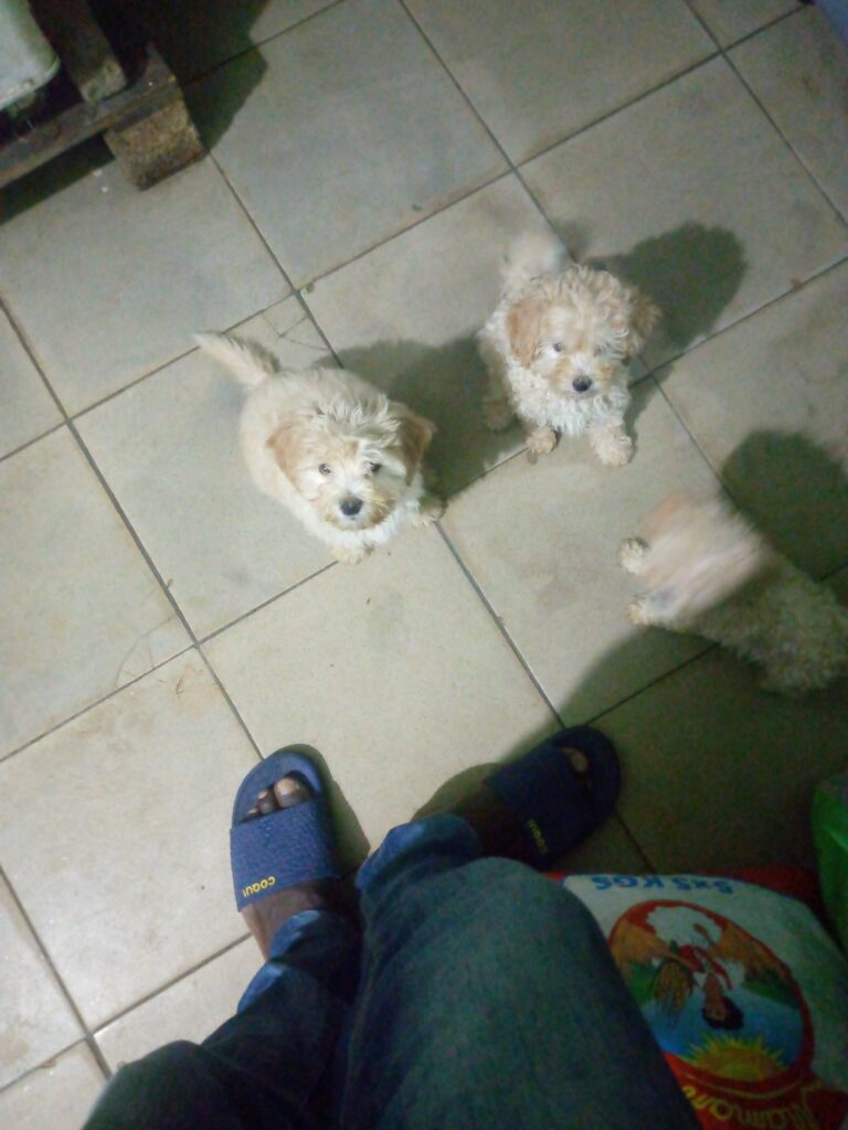 IMG_20220901_180006_800