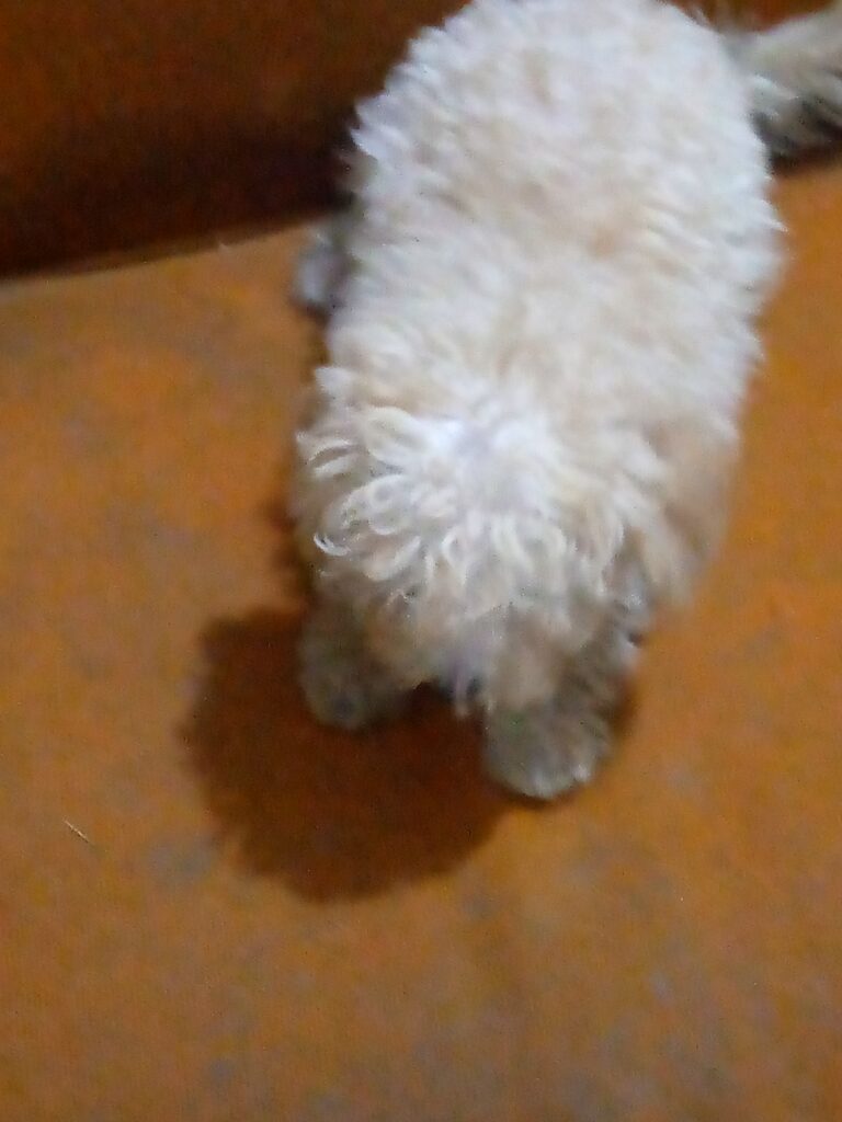 IMG_20220917_183206_291