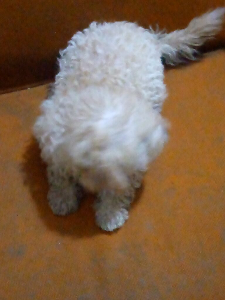 IMG_20220917_183208_463-1