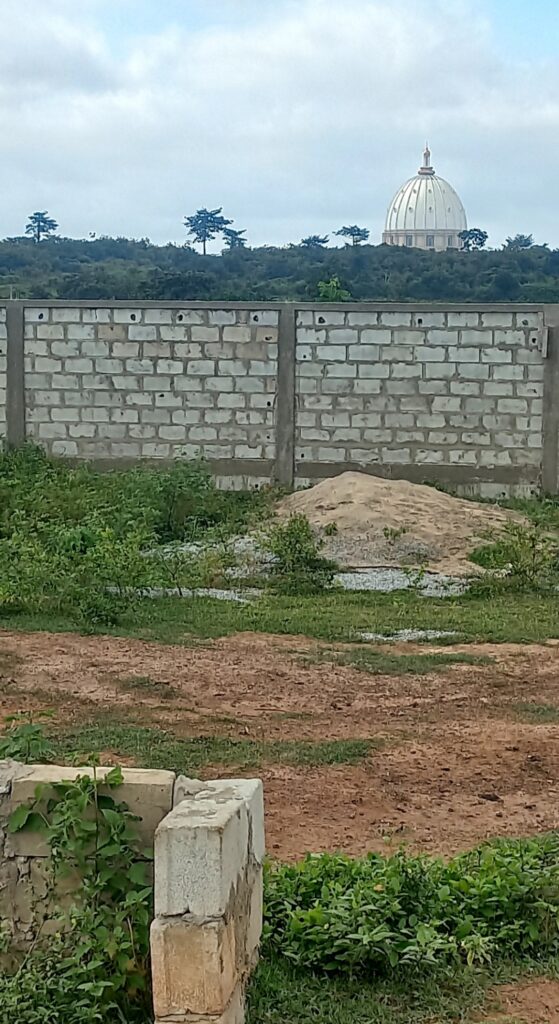 Screenshot_20220717-205250_Gallery