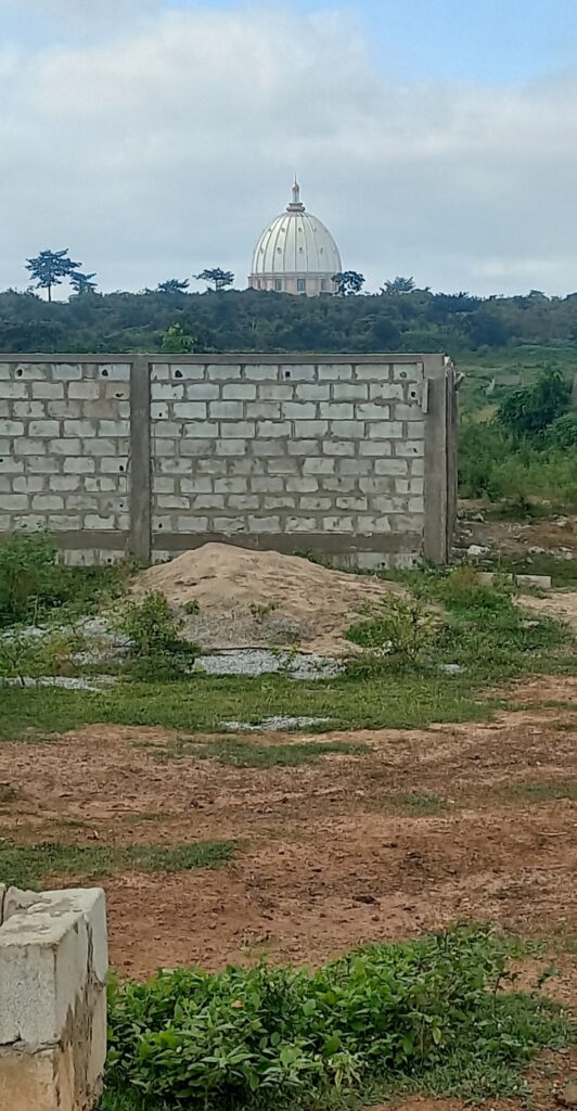 Screenshot_20220717-205257_Gallery