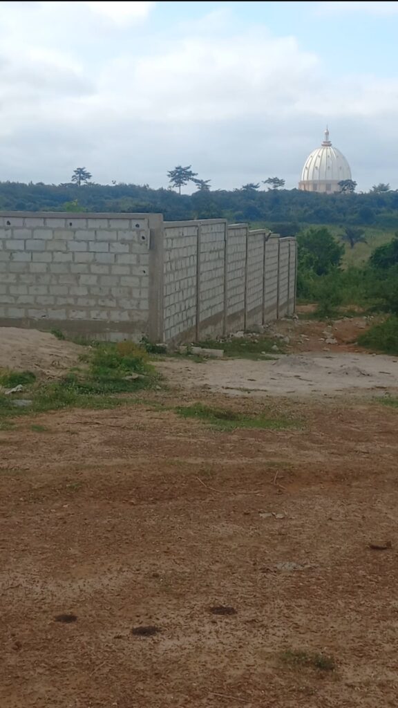 Screenshot_20220717-205308_Gallery