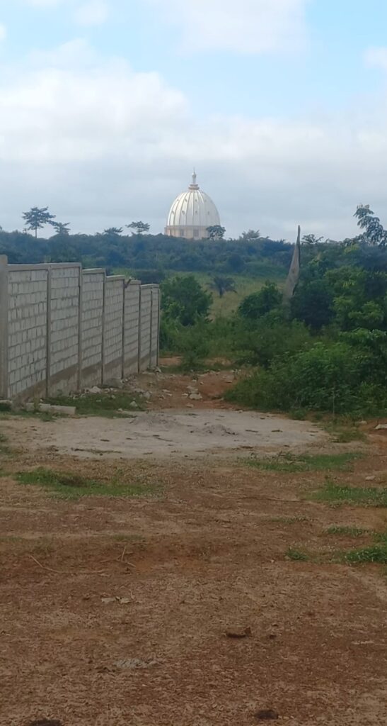 Screenshot_20220717-205310_Gallery