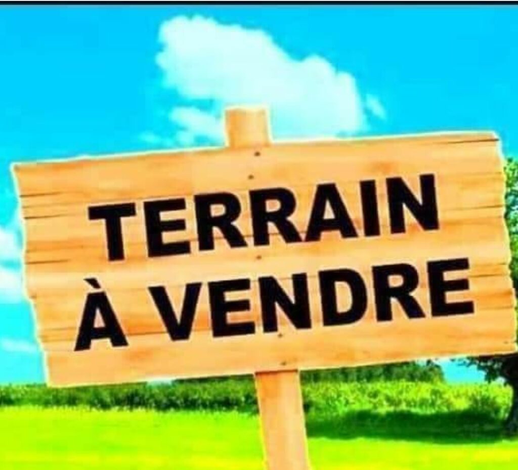 Screenshot_20220910-161346_Facebook