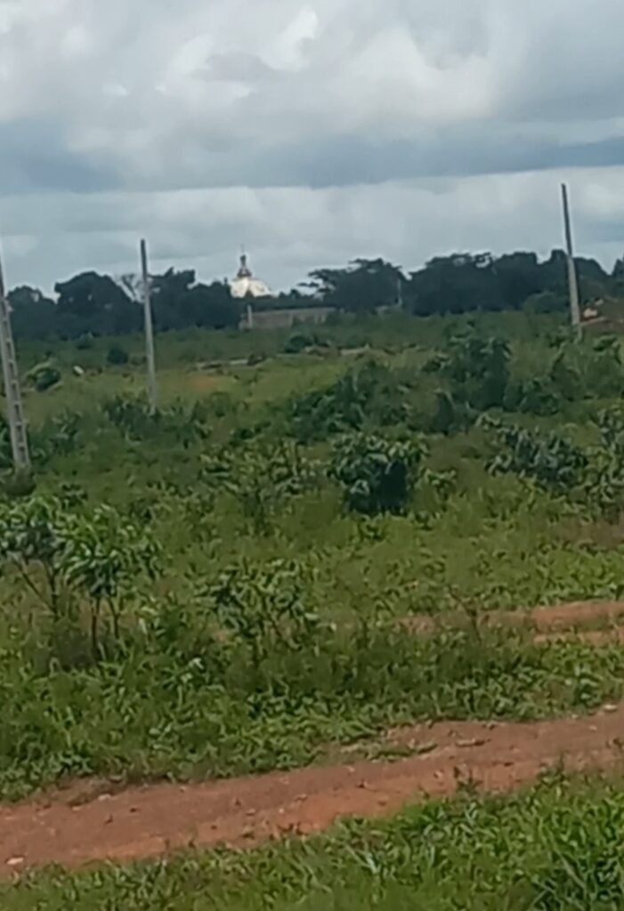 Screenshot_20220922-070658_Gallery