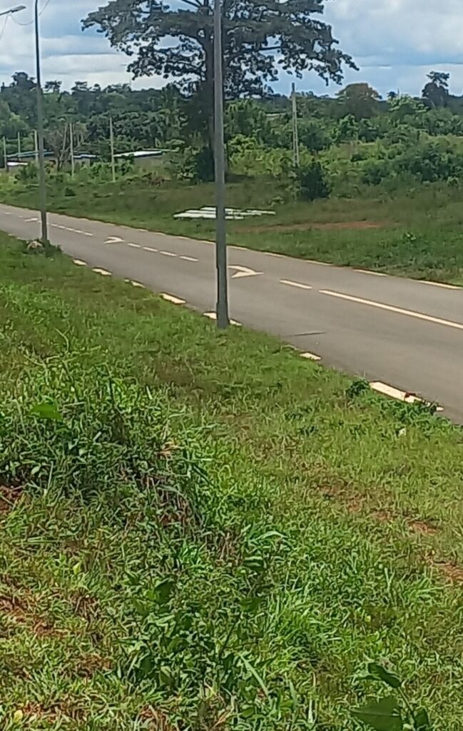 Screenshot_20220922-070733_Gallery