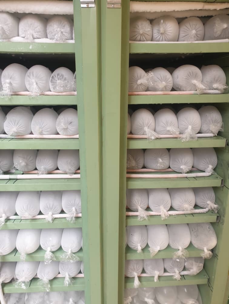 c28e6ccc-33d7-47a0-bcd0-b0813d7bd562