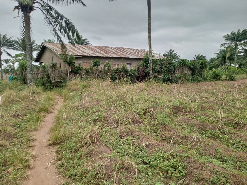 photo_5821382812140421385_y