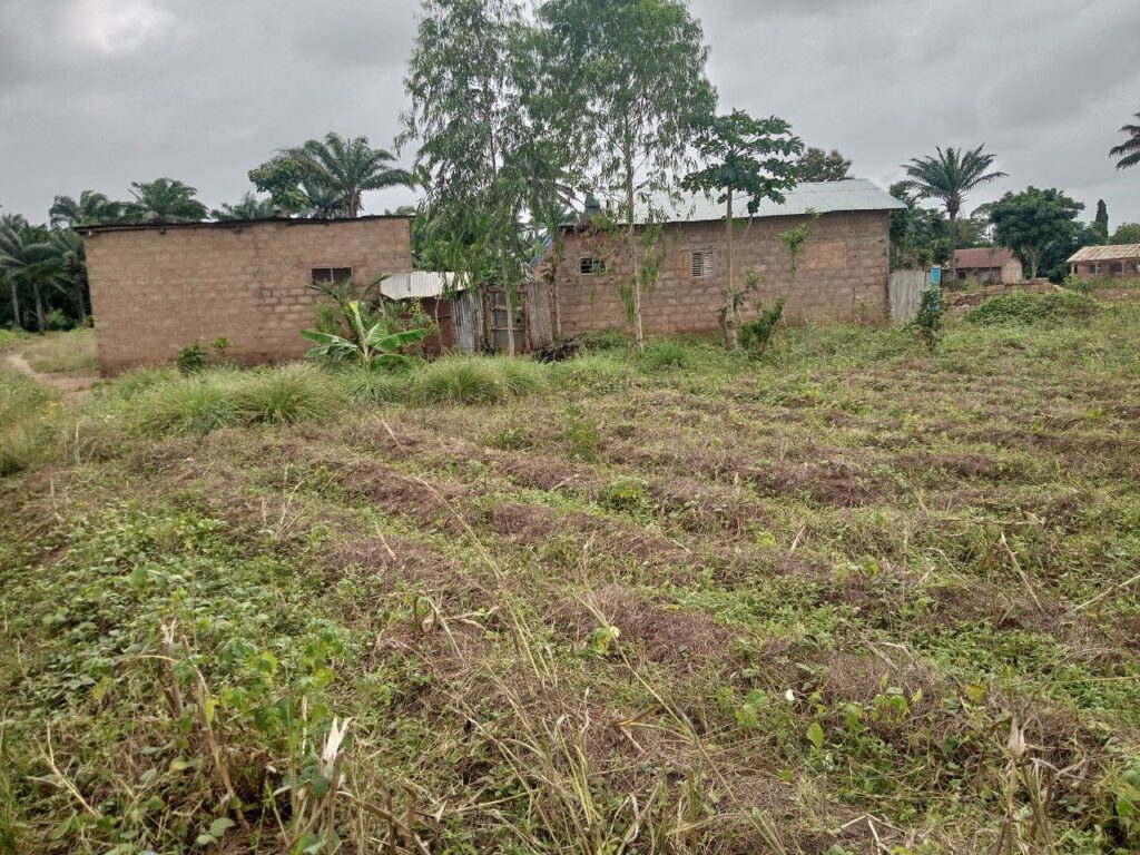 photo_5821382812140421387_y