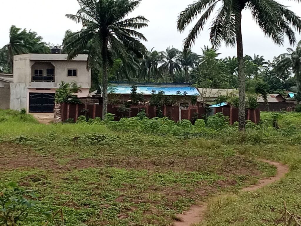 photo_5821382812140421393_y