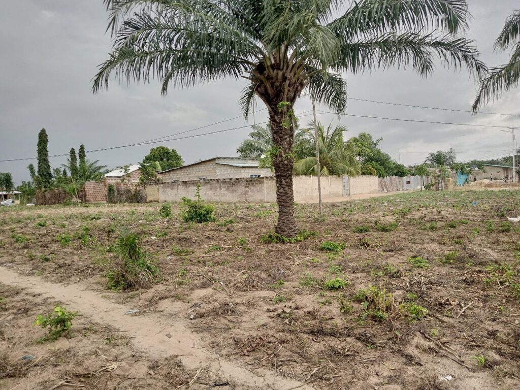 photo_5864111839745522787_y