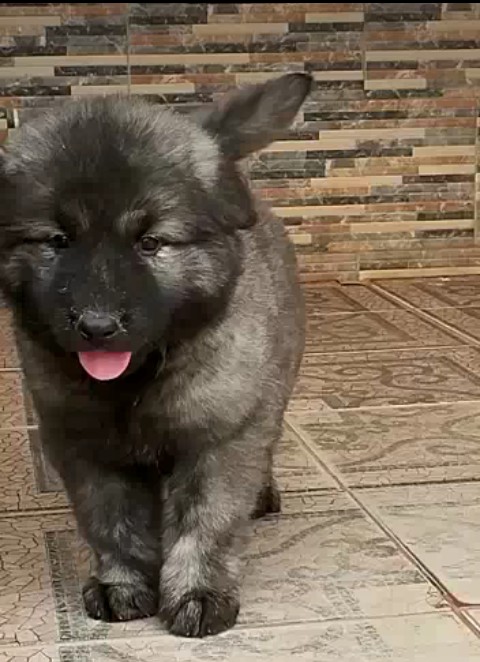 0E740CDA-2117-4989-B78B-DD16FF74E372