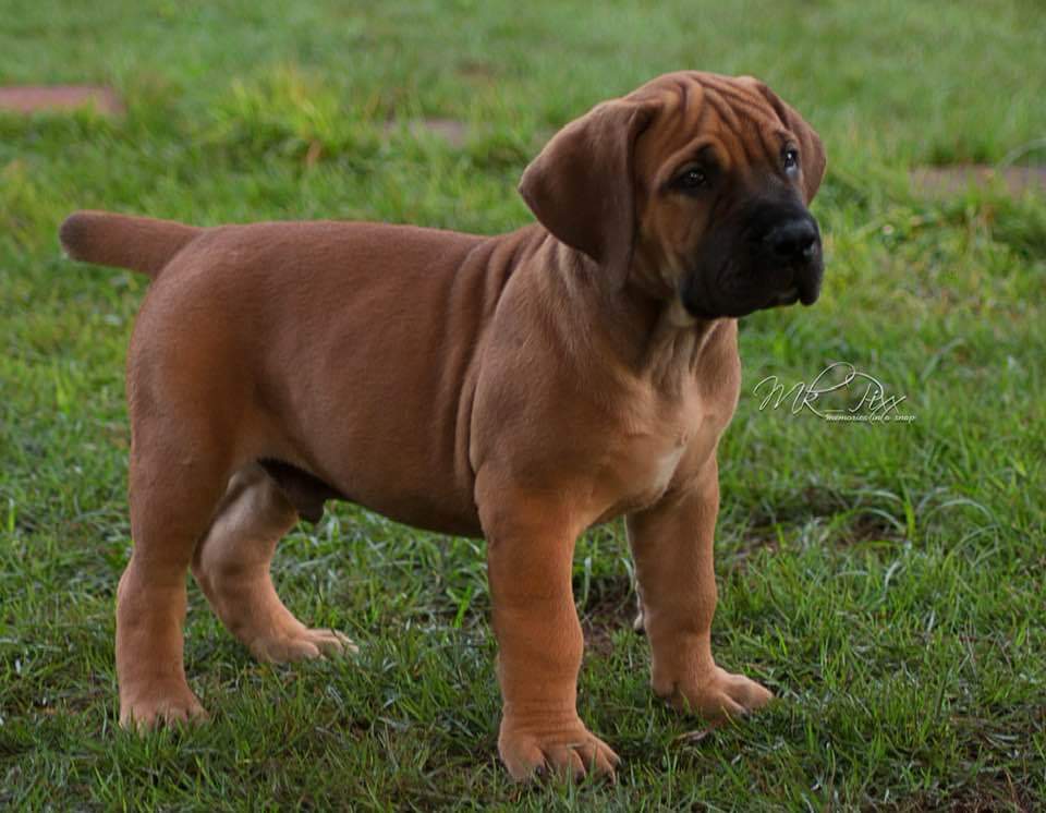 191B70A7-5608-46D9-80CE-38E8B353AFC9