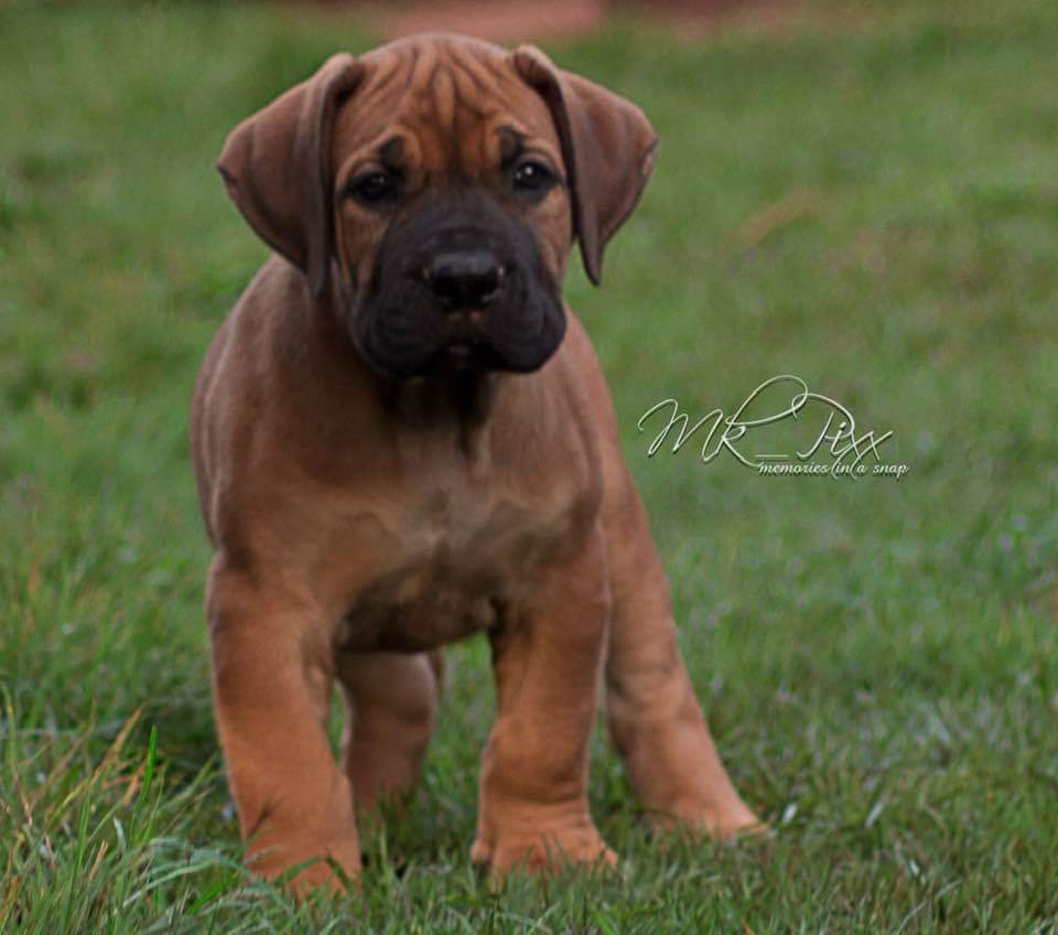 5956CD24-AE08-4196-86F0-E472E35CE085