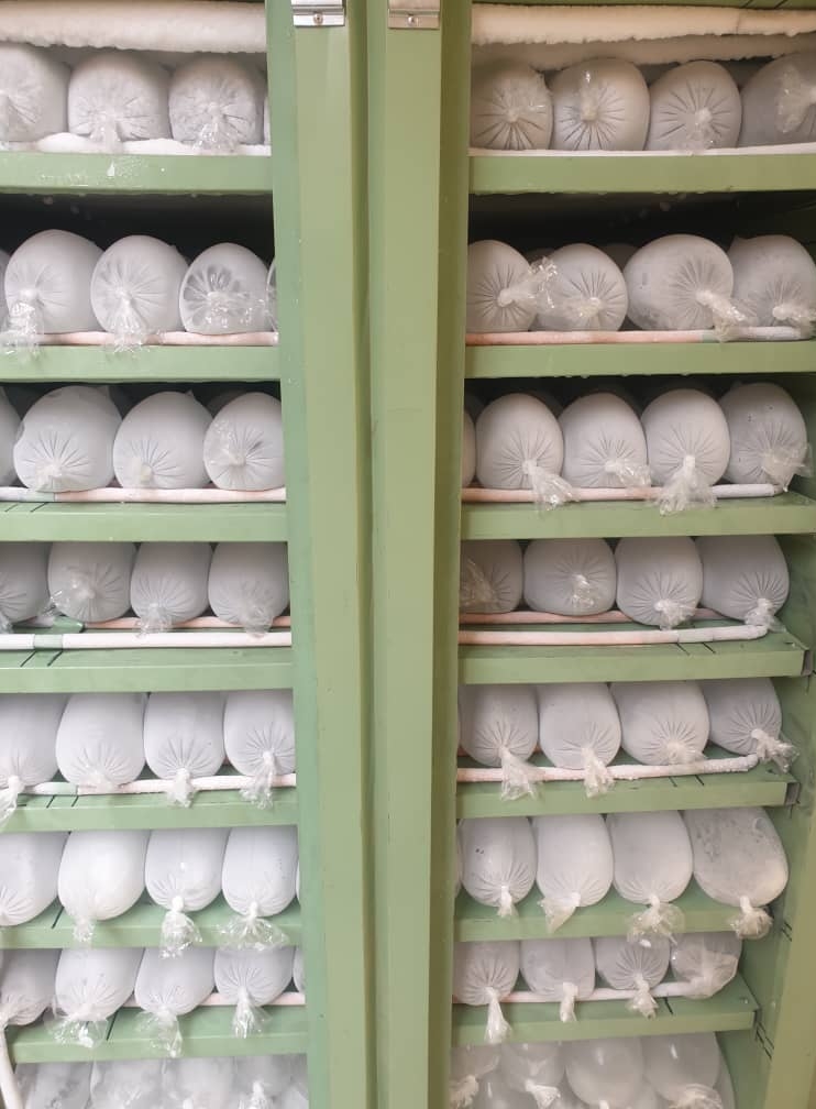 7587a25f-05e0-4cc7-966e-0de12de9fe69