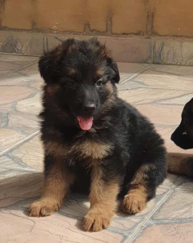 F957BB80-D56C-4C61-BF73-B35D1FE24357