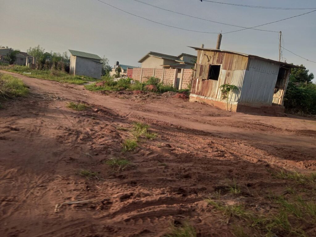 photo_5850534743748230086_y