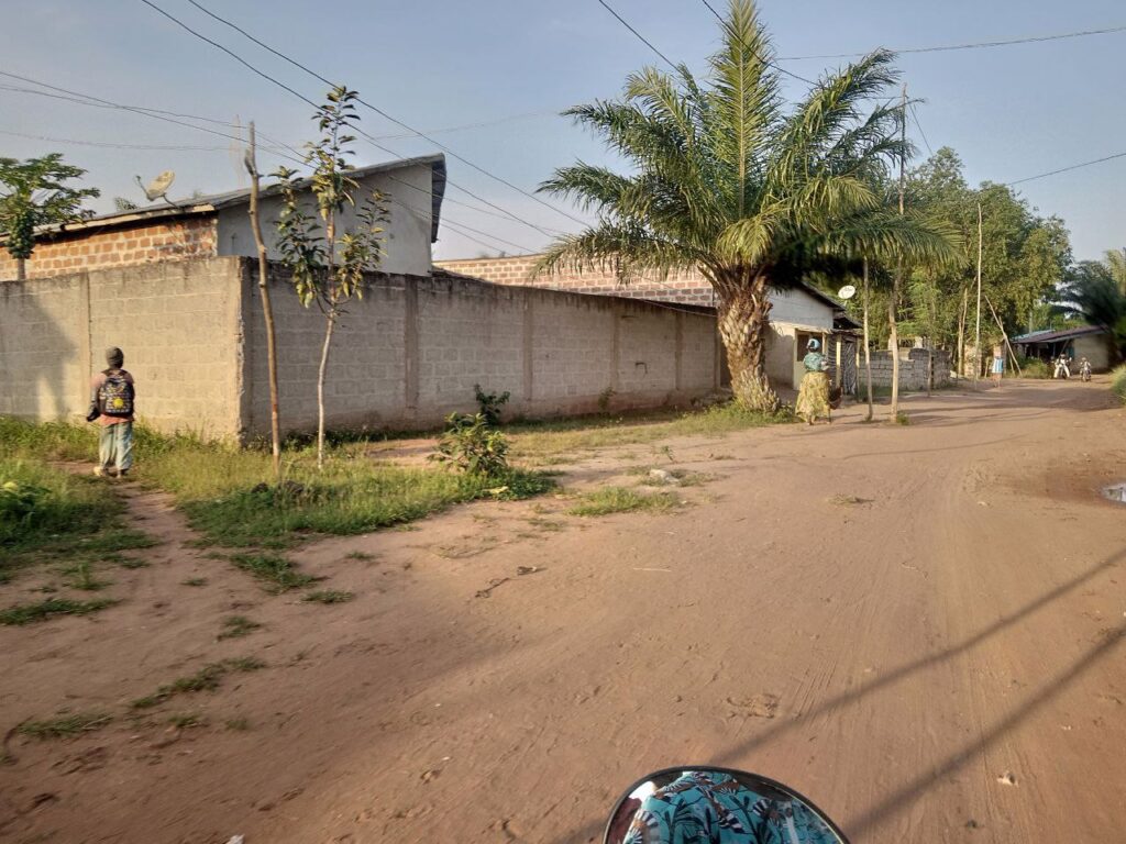 photo_5850534743748230087_y-1