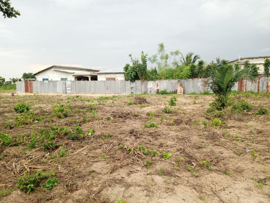 photo_5864111839745522784_y