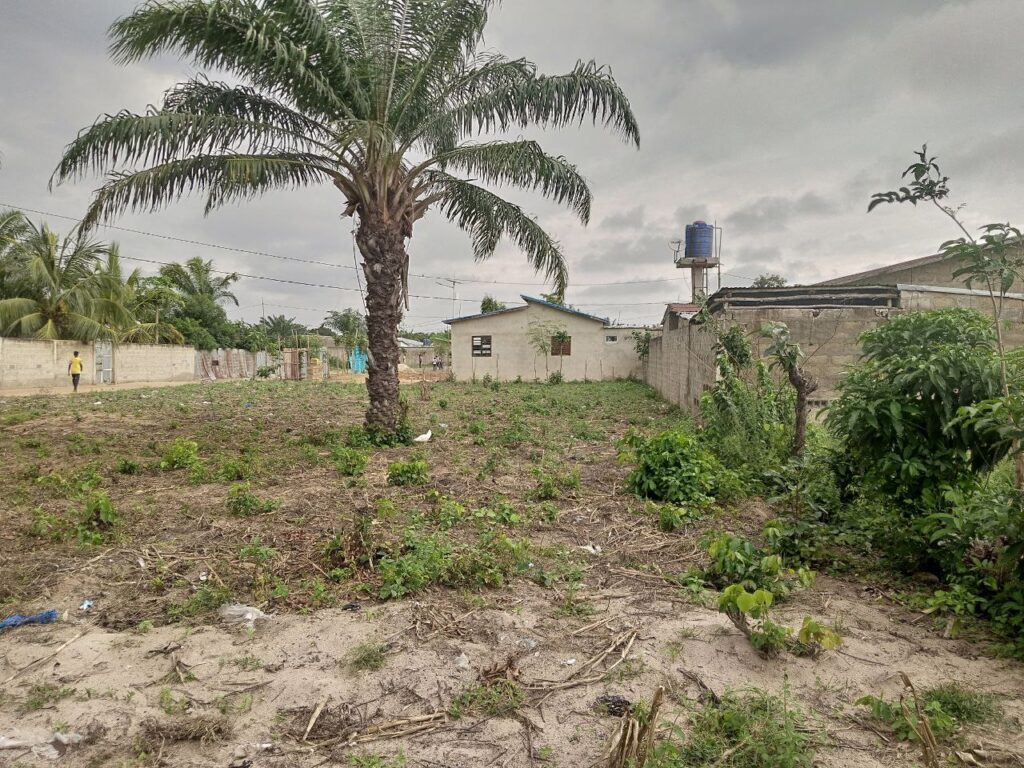 photo_5864111839745522785_y