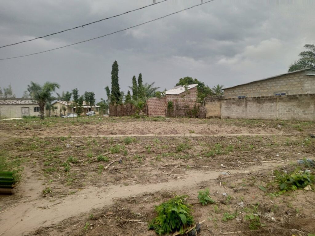 photo_5864111839745522792_y-2