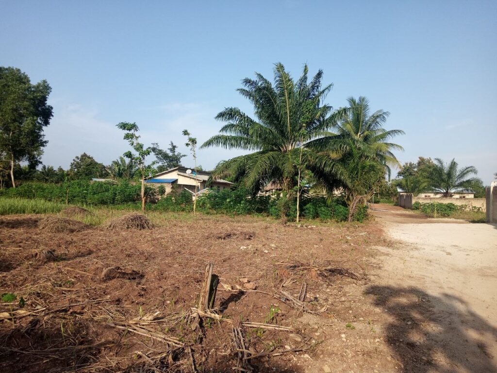 photo_5884006845520132172_y-1