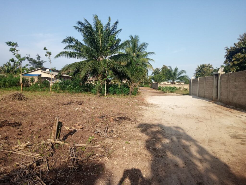 photo_5884006845520132173_y