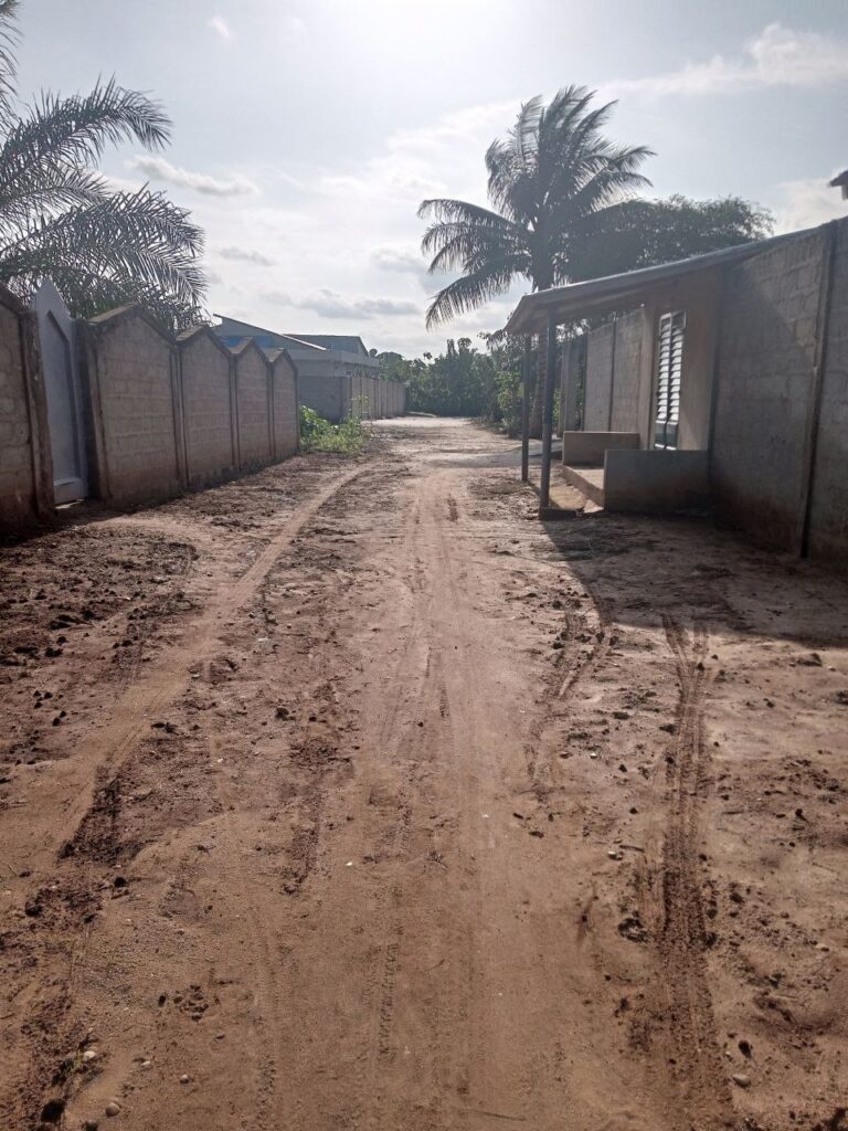 photo_5884006845520132177_y