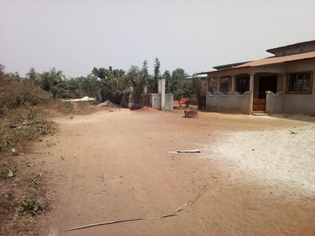 photo_6008275316138686229_y-1