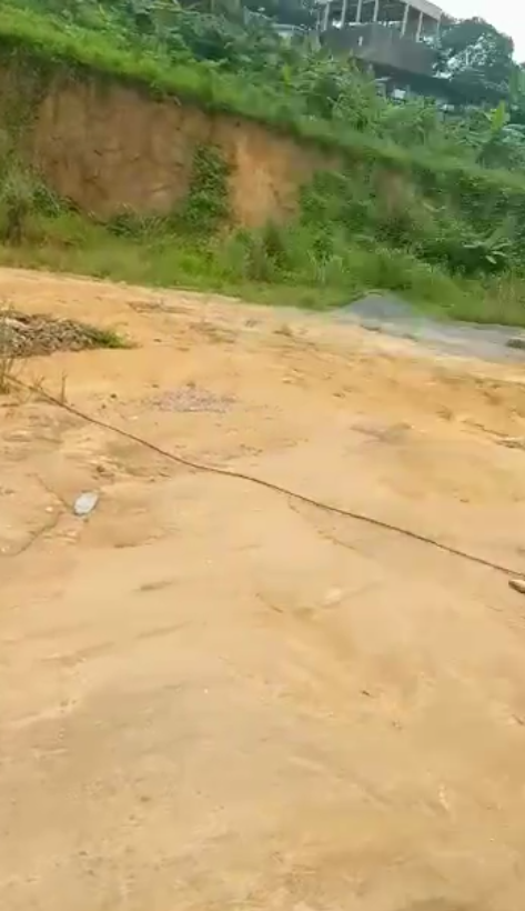 187c474a-4134-4061-aa35-e9c1a71f4d94