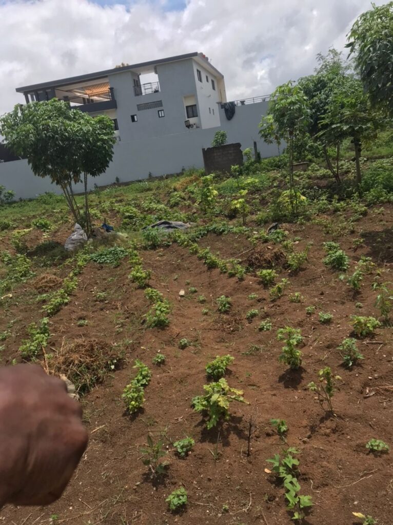 443fc361-6b40-4ef5-a3b4-f9abb293b1a3-2