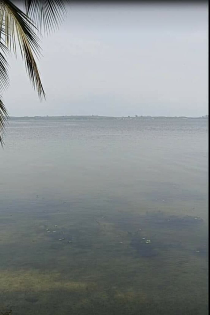 Screenshot_20221108-210500_Facebook-1