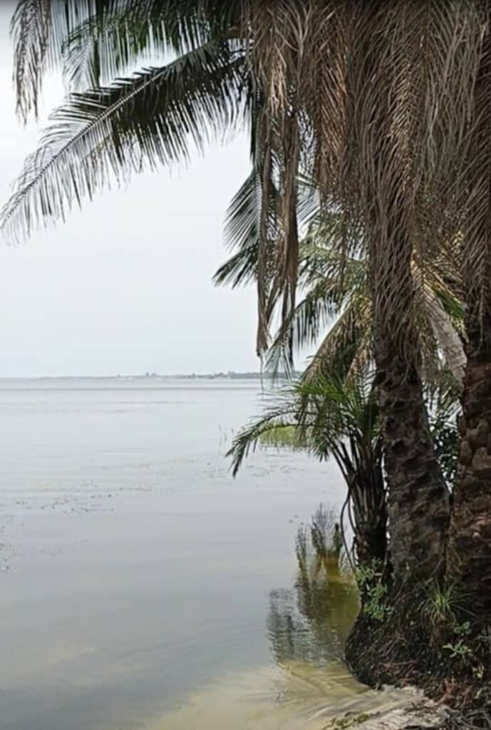 Screenshot_20221108-210515_Facebook-1