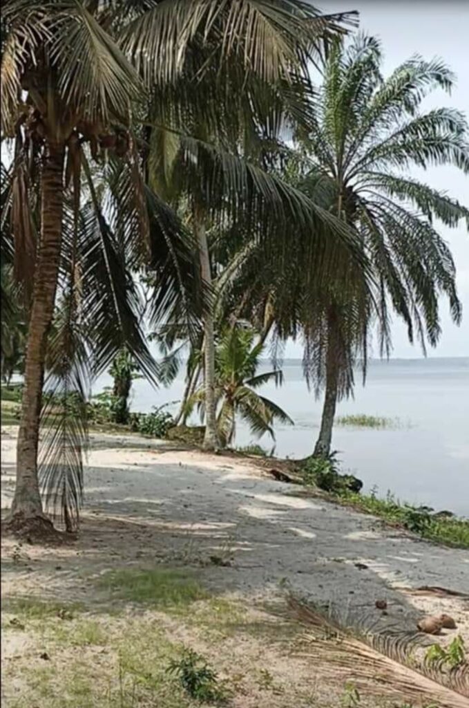 Screenshot_20221108-210526_Facebook