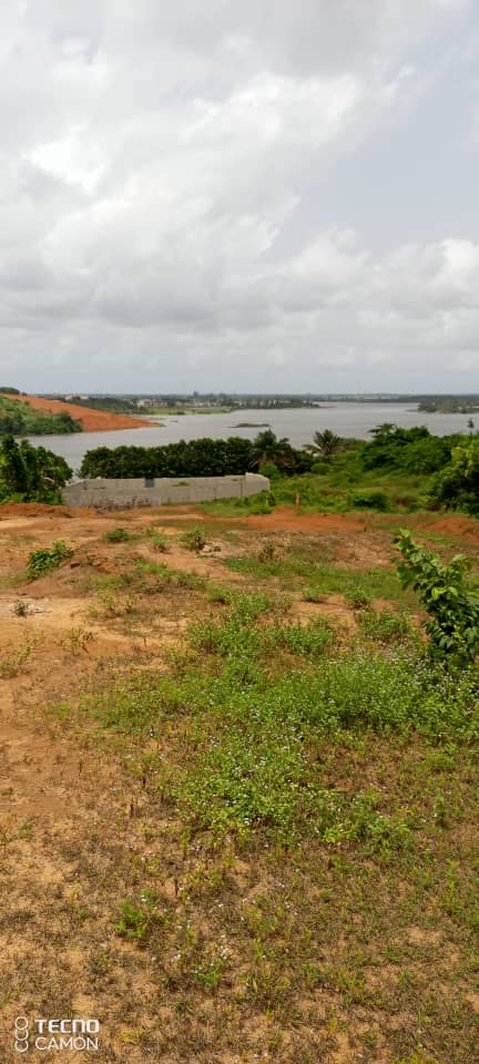 WhatsApp-Image-2022-11-10-at-23.49.51