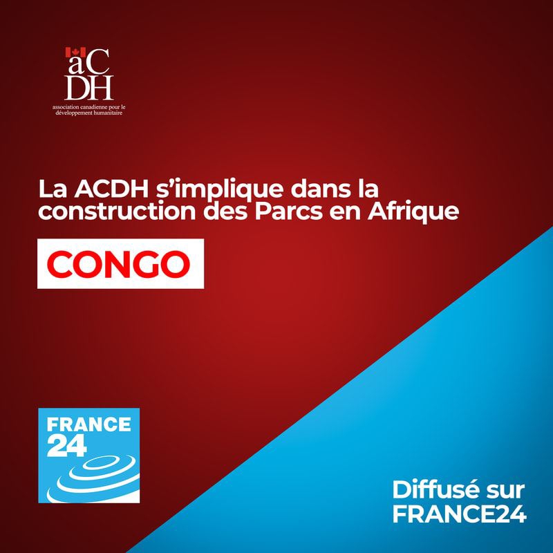 a6c04668-18c2-4c00-933a-a1e1bd6bfaf9