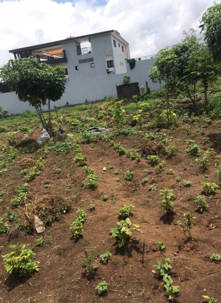 b63d6aab-fd4f-419f-8ae0-f8449e9876f9