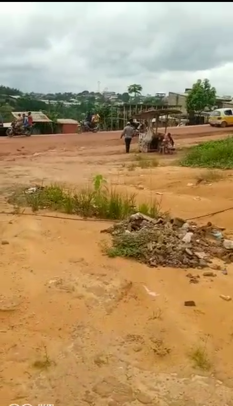 d0b065cc-9db4-410f-992e-491f992b3b46