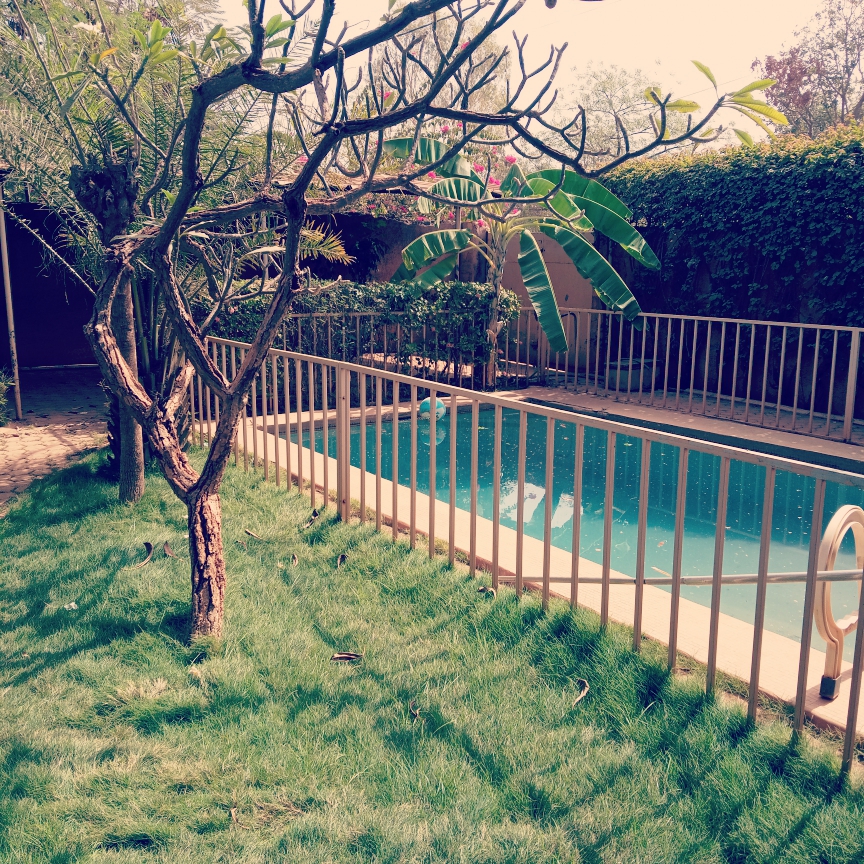 IMG_20221227_111214_176