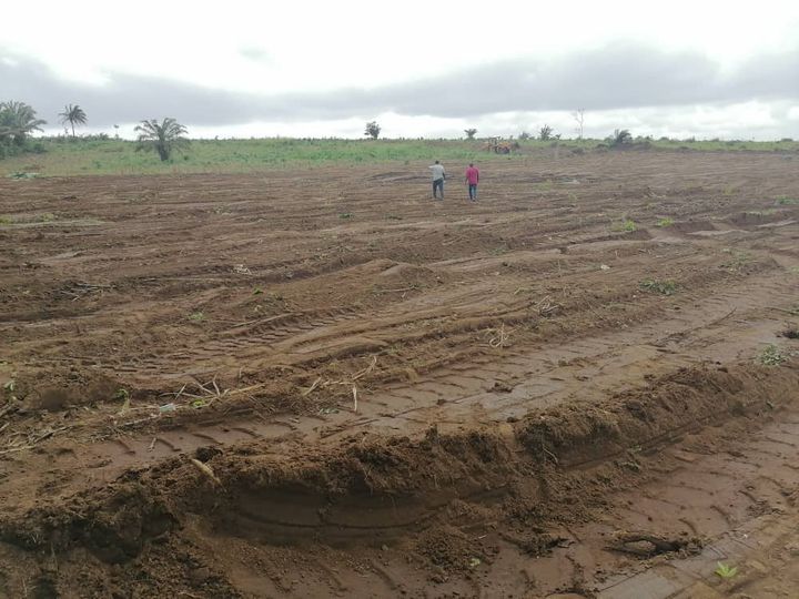 TERRAIN-AZAGUIE-SAIVAP-GROUP