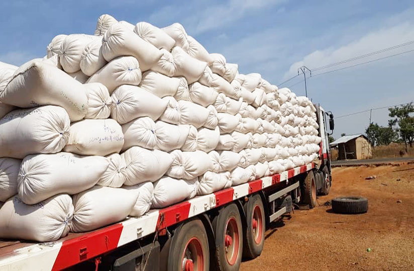 poster_article1641553626