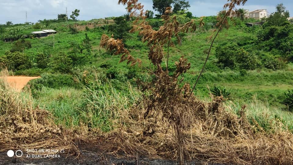 77007306_2847120041988507_467232784709058560_n