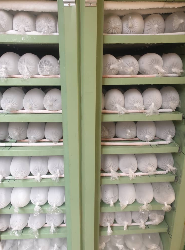 77fa0903-9c70-49f2-b376-d7737666a429