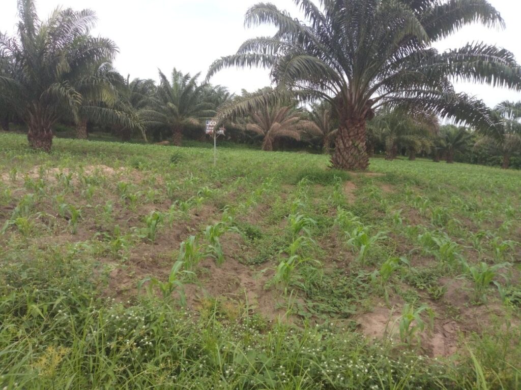 IMG_20221227_231036_735