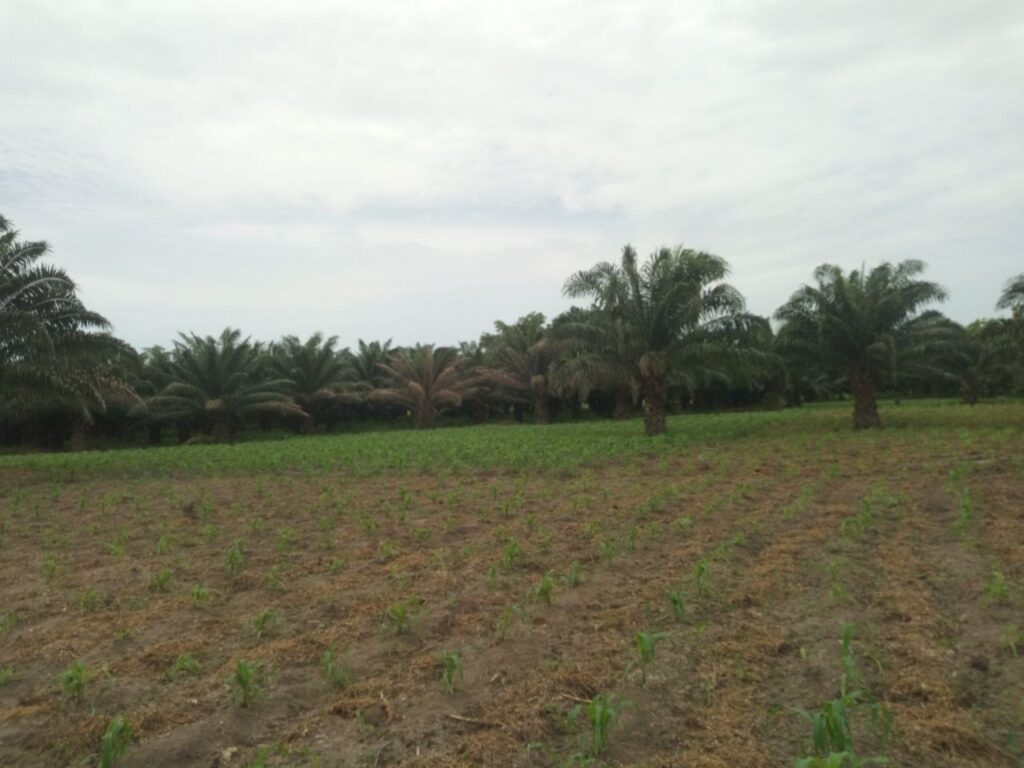 IMG_20221227_231105_219